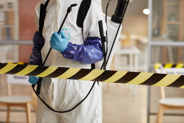 Professional Sewage Cleanup technician working in East Dennis, MA